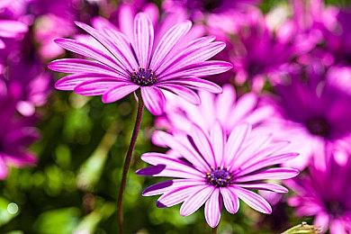 《二之国：白色圣灰的女王》今日加入XGP 《二之国2》明年登陆Xbox